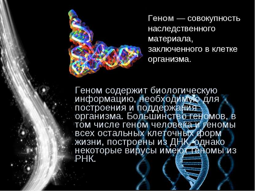 Геном содержит биологическую информацию, необходимую для построения и поддерж...