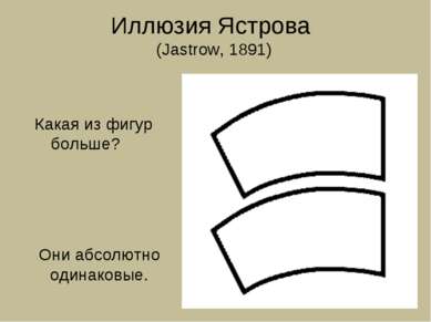 Иллюзия Ястрова (Jastrow, 1891) Какая из фигур больше? Они абсолютно одинаковые.