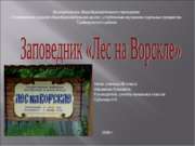 Заповедник «Лес на Ворскле»