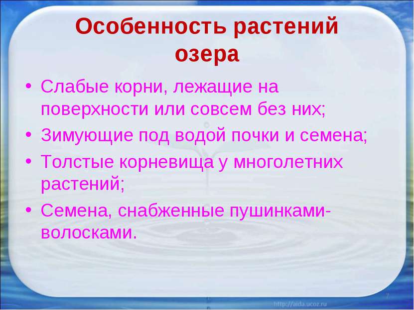 Особенность растений озера Слабые корни, лежащие на поверхности или совсем бе...