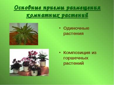 Основные приемы размещения комнатных растений Одиночные растения Композиция и...