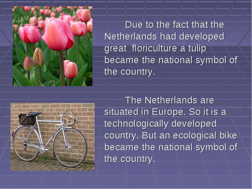 Due to the fact that the Netherlands had developed great floriculture a tulip...