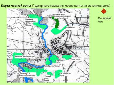 Карта лесной зоны Подгорного(названия лесов взяты из летописи села) + Сосновы...