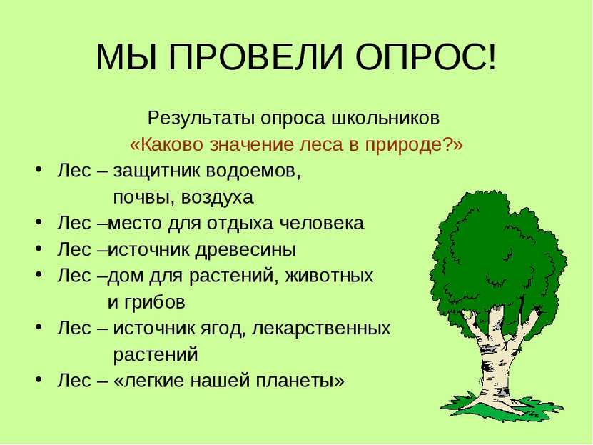 МЫ ПРОВЕЛИ ОПРОС! Результаты опроса школьников «Каково значение леса в природ...