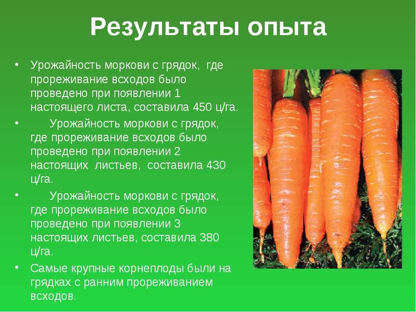 Результаты опыта Урожайность моркови с грядок, где прореживание всходов было ...