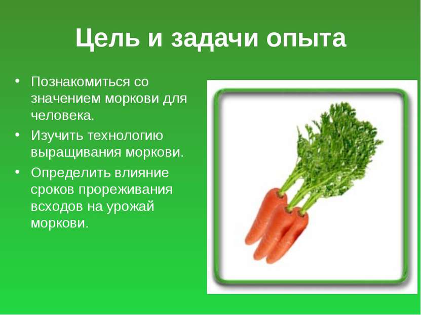 Цель и задачи опыта Познакомиться со значением моркови для человека. Изучить ...