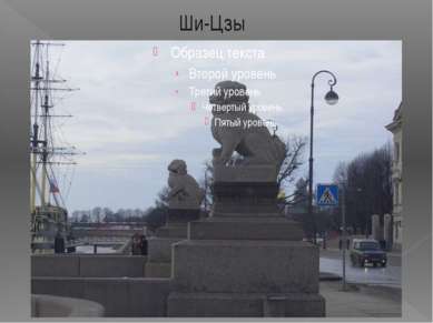 Ши-Цзы В 1907 году на Петровской набережной установили гранитные скульптуры «...