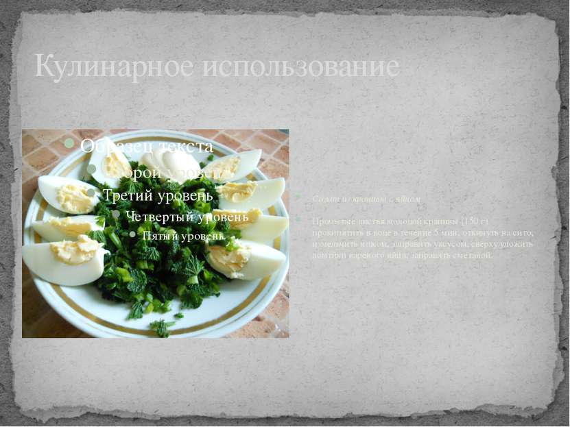 Кулинарное использование Салат из крапивы с яйцом Промытые листья молодой кра...