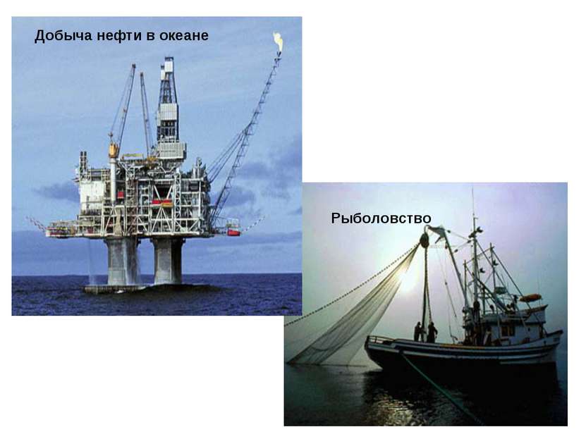 Рыболовство Добыча нефти в океане