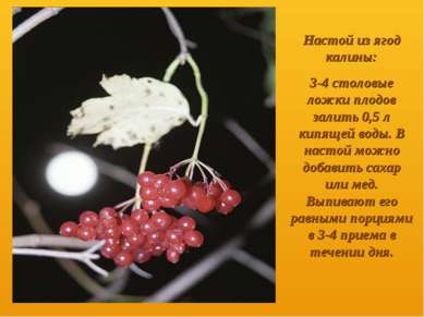 Настой из ягод калины: 3-4 столовые ложки плодов залить 0,5 л кипящей воды. В...
