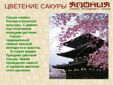 ЦВЕТЕНИЕ САКУРЫ Сакура-символ Японии и японской культуры. С давних пор почита...