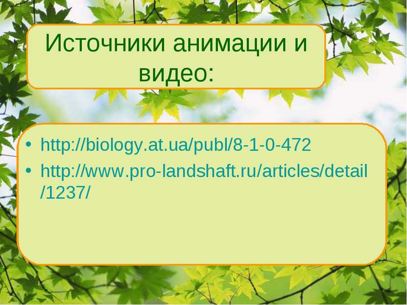 http://biology.at.ua/publ/8-1-0-472 http://www.pro-landshaft.ru/articles/deta...