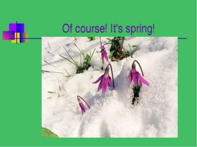 Of course! It's spring!