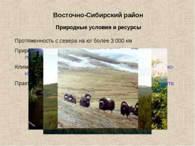 Восточно-Сибирский район Протяженность с севера на юг более 3 000 км Природны...