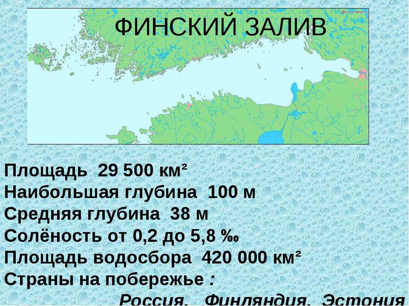 ФИНСКИЙ ЗАЛИВ Площадь 29 500 км² Наибольшая глубина 100 м Средняя глубина 38 ...