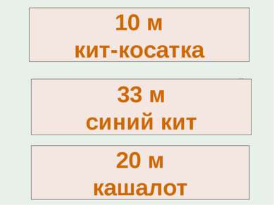 Длинное ухо, комочек пуха, прыгает ловко, любит морковку. Шелестя, шурша трав...