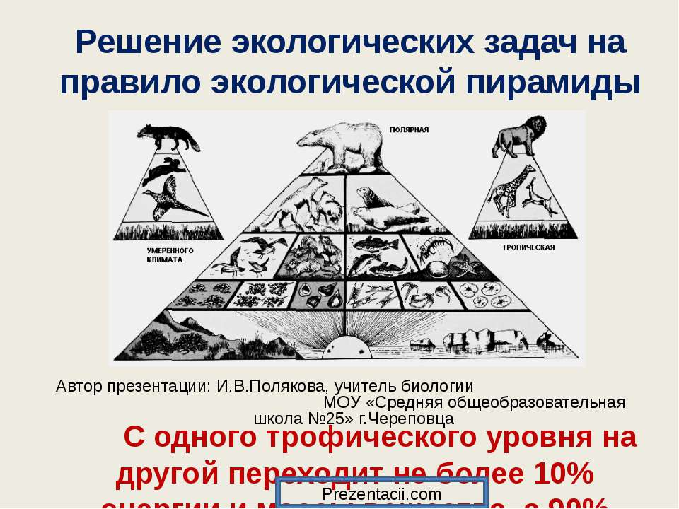 Согласно правилу пирамиды чисел. Правило экологической пирамиды. Экологическая пирамида задания. Экологическая пирамида это в биологии. Виды экологических пирамид.