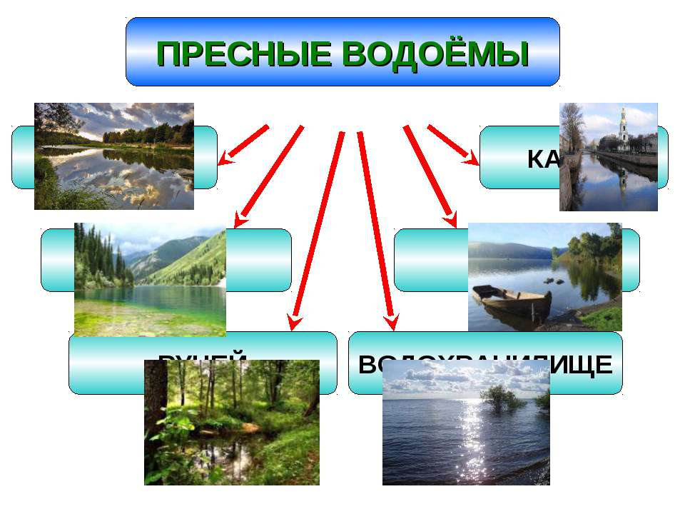 Какое слово из перечня нужно исключить река ручей озеро ледник море болото