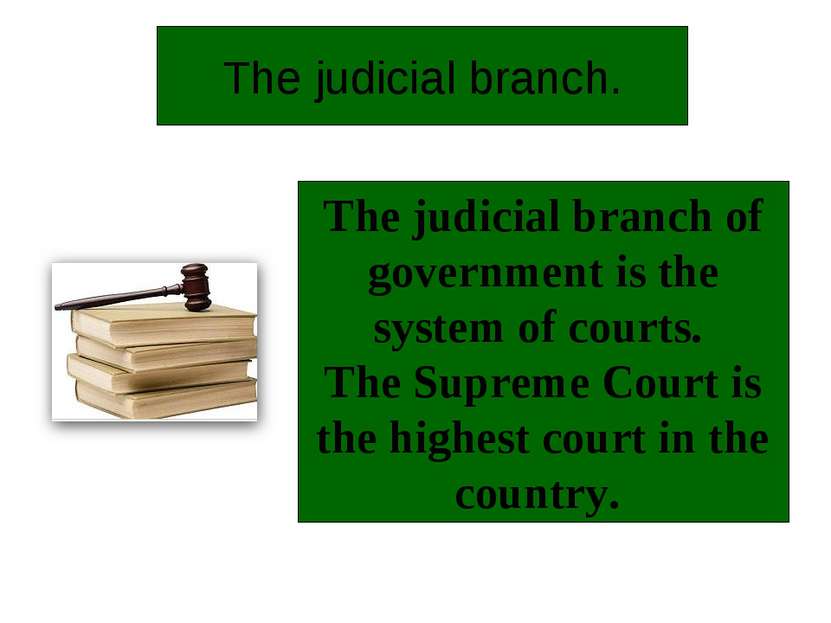 The judicial branch. The judicial branch of government is the system of court...
