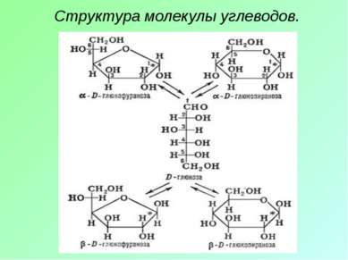 Структура молекулы углеводов.