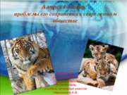 Амурский тигр: проблемы его сохранения в современном обществе