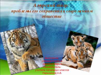Амурский тигр: проблемы его сохранения в современном обществе Выполнила: учен...