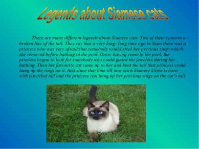 There are many different legends about Siamese cats. Two of them concern a br...