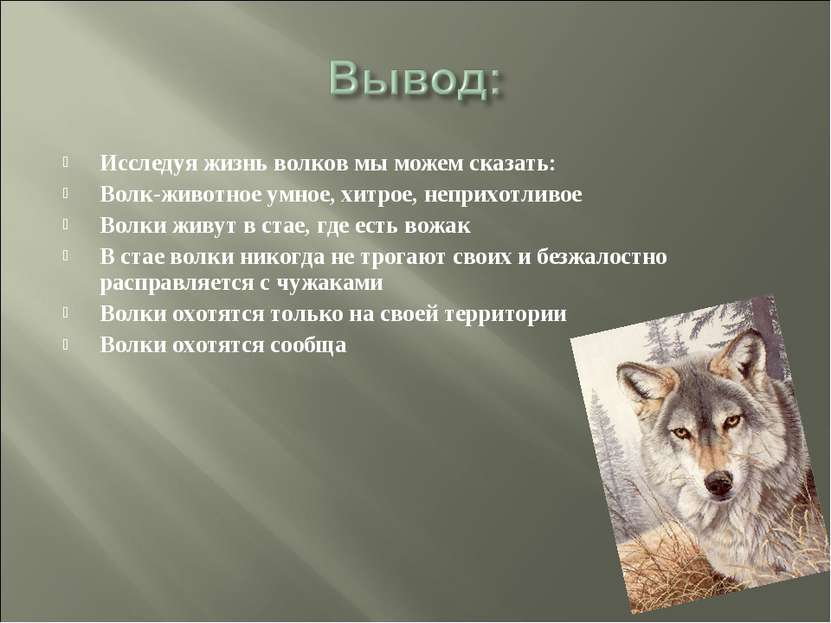 Исследуя жизнь волков мы можем сказать: Волк-животное умное, хитрое, неприхот...