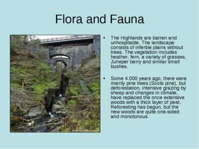 Flora and Fauna The Highlands are barren and unhospitable. The landscape cons...