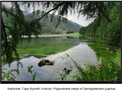 Киргизия. Горы Кунгей- Алатоо. Родниковое озеро в Григорьевском ущелье.
