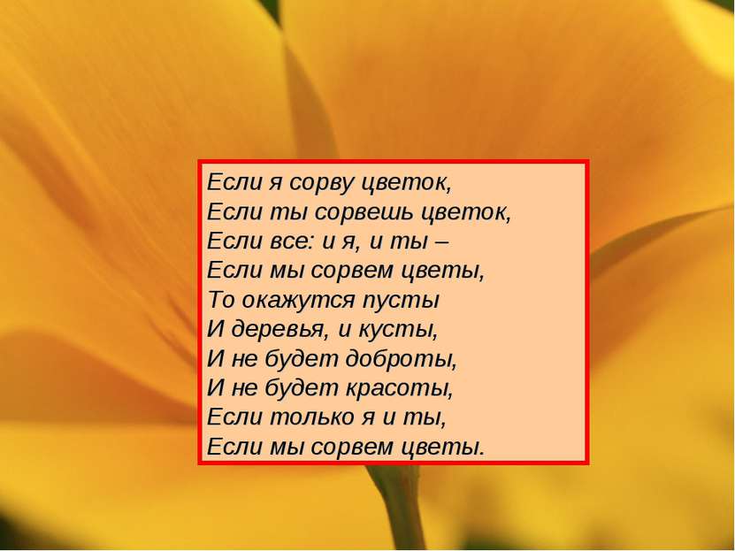 Если я сорву цветок, Если ты сорвешь цветок, Если все: и я, и ты – Если мы со...