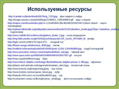 Используемые ресурсы http://carabin.ru/photo/domb2007/img_7233.jpg - фон перв...