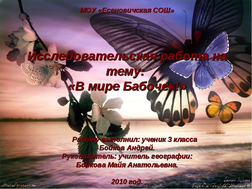 МОУ «Есеновичская СОШ» Исследовательская работа на тему: «В мире Бабочек!» Ра...