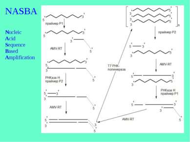NASBA Nucleic Acid Sequence Based Amplification