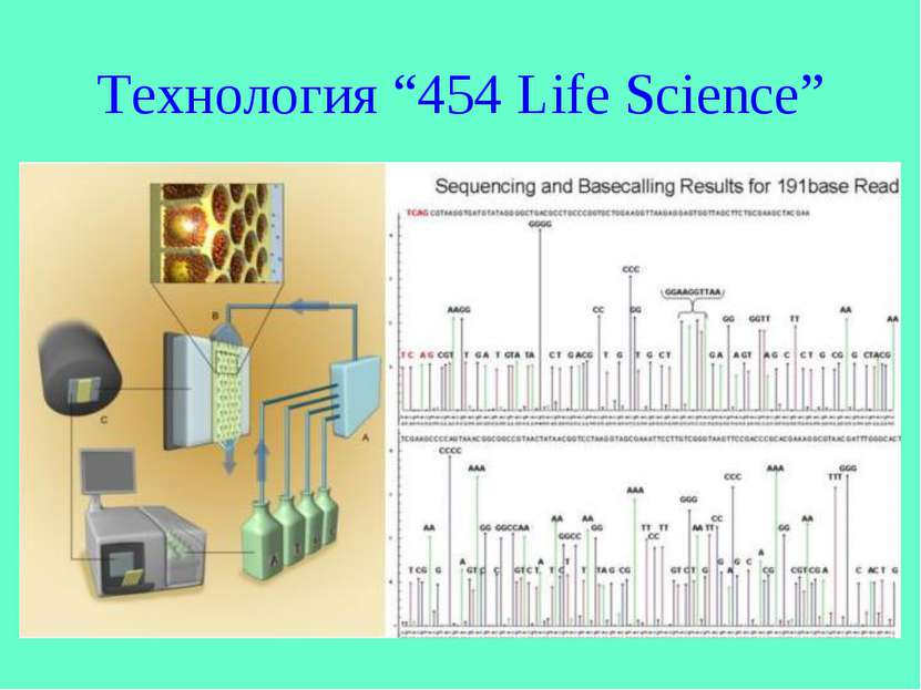 Технология “454 Life Science”