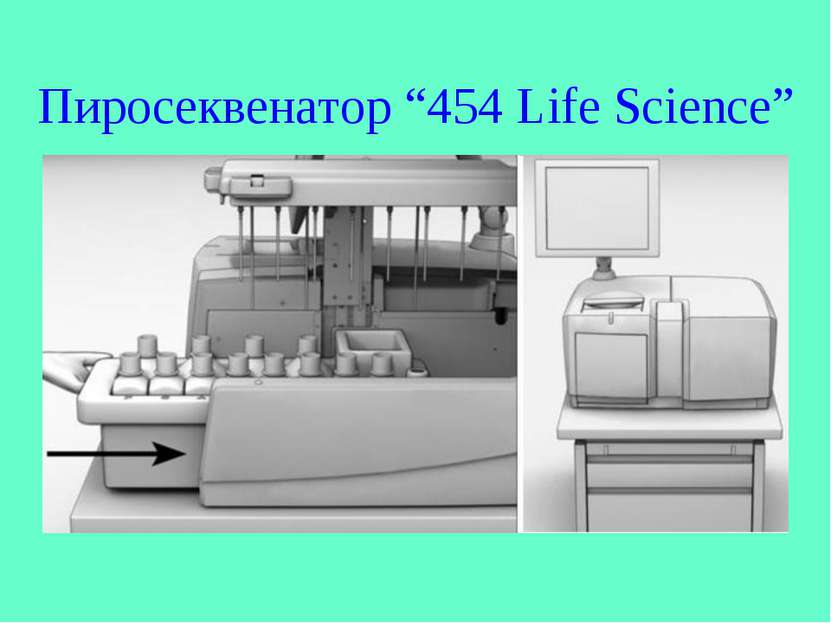 Пиросеквенатор “454 Life Science”