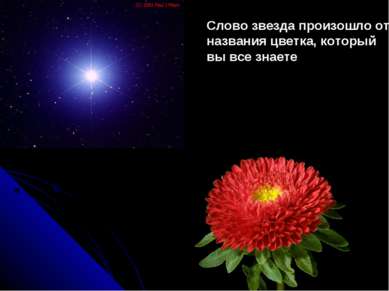 Слово звезда произошло от названия цветка, который вы все знаете