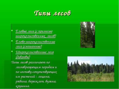 Типы лесов Еловые леса (с примесью широколиственных лесов) Елово-широколистве...