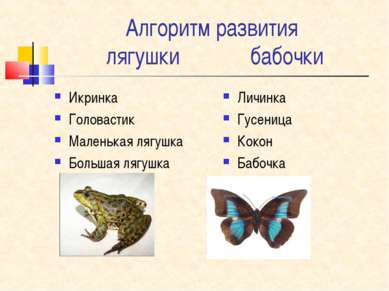 Алгоритм развития лягушки бабочки Икринка Головастик Маленькая лягушка Больша...