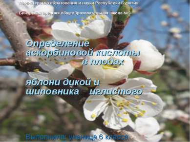 Министерство образования и науки Республики Бурятия Бичурская средняя общеобр...