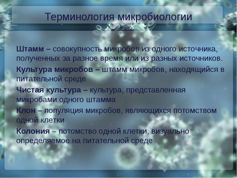 Терминология микробиологии Штамм – совокупность микробов из одного источника,...