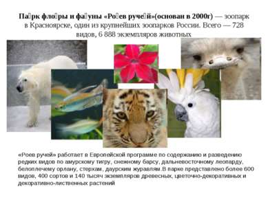 Па рк фло ры и фа уны «Ро ев руче й»(основан в 2000г) — зоопарк в Красноярске...