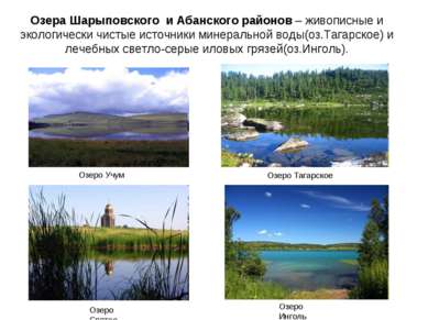 Озера Шарыповского и Абанского районов – живописные и экологически чистые ист...