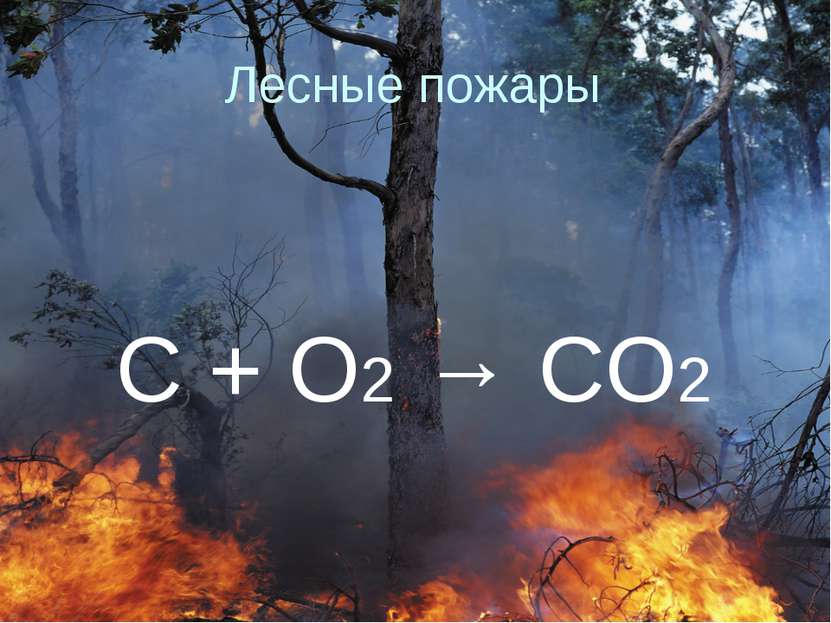 Лесные пожары C + O2 → CO2