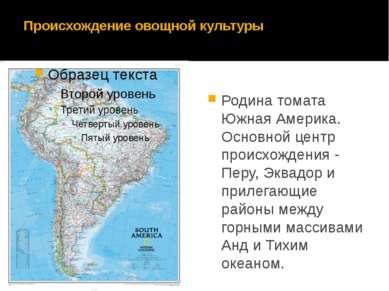 Происхождение овощной культуры Родина томата Южная Америка. Основной центр пр...