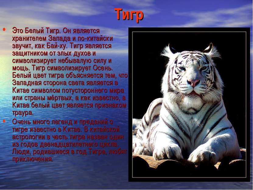 Тигр Это Белый Тигр. Он является хранителем Запада и по-китайски звучит, как ...