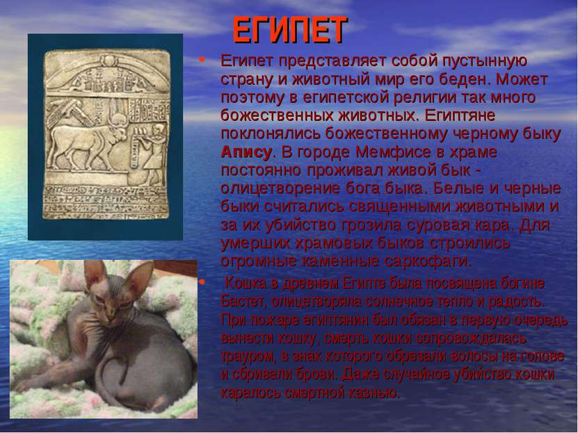 ЕГИПЕТ Египет представляет собой пустынную страну и животный мир его беден. М...