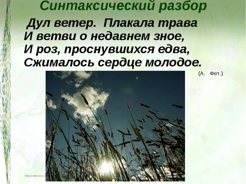 Синтаксический разбор Дул ветер. Плакала трава И ветви о недавнем зное, И роз...