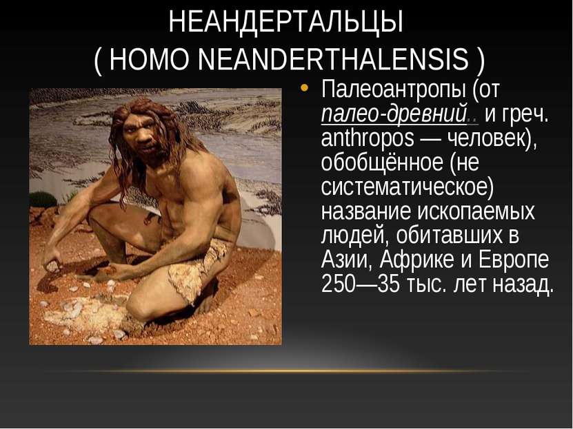 НЕАНДЕРТАЛЬЦЫ ( HOMO NEANDERTHALENSIS ) Палеоантропы (от палео-древний.. и гр...