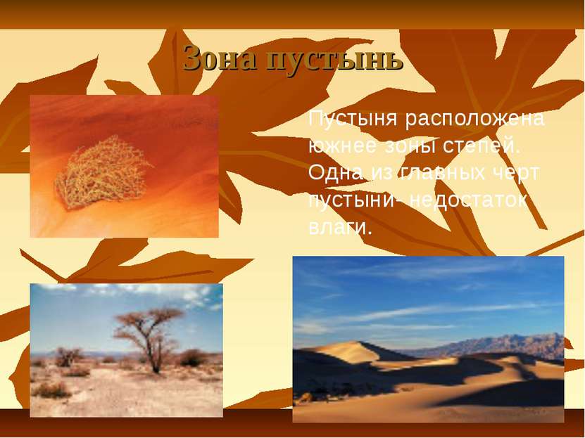 Зона пустынь Пустыня расположена южнее зоны степей. Одна из главных черт пуст...